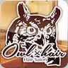 Owl hair icon
