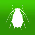 BugFinder Icon