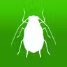 BugFinder icon