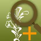 CRFwildflowers Icon