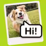 Speech Bubble Maker: Pic Talk icon