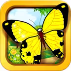 Butterfly baby games - learn with kids color game iOS Icon