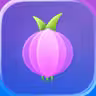 Private Web Browser - ORIN icon