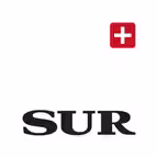 Diario Sur Icon