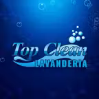 Top Clean Icon