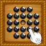 Brainvita icon
