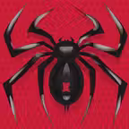 Spider Solitaire: Card Game iOS Icon