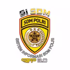 SiSDM icon