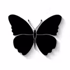 I Am Innocent iOS Icon