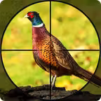 Bow Pheasant Bird Hunting Game iOS Icon