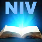 NIV Bible* - New International Icon