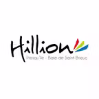 Hillion Icon