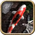 Pocket Pond 2 Icon