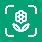 Planto: Plant Identifier iOS Icon