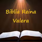 biblia reina valera 1960 Icon
