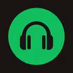 Spotube – Offline Music Player icon