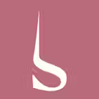 Stance-sa Icon