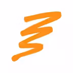 Smartwings Icon