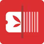 Entry Fairy Icon