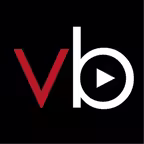 Videoblogg Icon