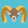 Eyal icon
