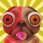 Talking Doge iOS Icon