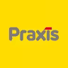 Praxis icon
