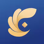 滨海国金所 Icon