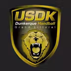 USDK Icon