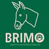 BriMo icon