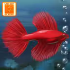 Fish Tycoon Lite iOS Icon