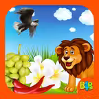 All in One Learning Flashcards iOS Icon