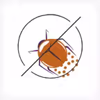 Mobile IRush Application iOS Icon