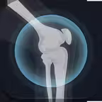 OT Kinesiology Pro Consult iOS Icon