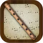 Flute Pro iOS Icon