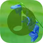 Nature Sounds - Nature Music, Relaxing Sounds iOS Icon