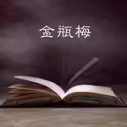 评书之金瓶梅 iOS Icon