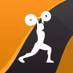 Wendler Log 531 iOS Icon