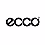 ECCO FAST Icon