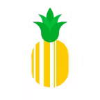 Шелфи - сроки годности онлайн Icon