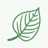 Leaf Parcel icon