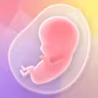 Nurture Pregnancy Week by Week Icon