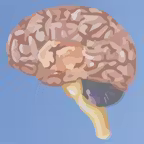Brain iOS Icon