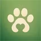PetMira-Cat Translator&AI Care icon