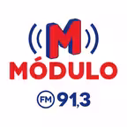 Módulo FM 91,3 Icon