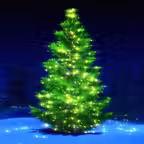Free Christmas Songs Music Tree iOS Icon