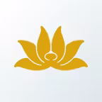 Vietnam Airlines Icon
