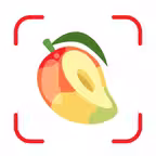 AI Calorie Counter - Tracker iOS Icon