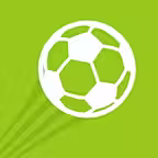 The Football Trainer Icon