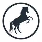 Horse Poser iOS Icon